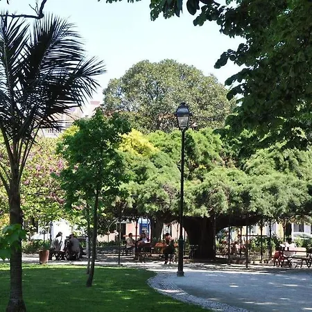 Dpj Romantic Jardim - Lift! - Pr.real/bairro Alto! Lisboa