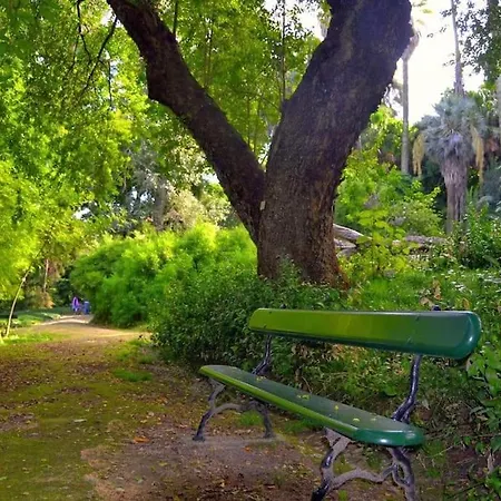 Dpj Romantic Jardim - Lift! - Pr.real/bairro Alto! * Lissabon